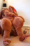 Filename=bunnybedsuit_14.jpg
Filesize=106KB
Dimensions=533x800
Date added=Jan 22, 2010 bunnybedsuit_14.jpg