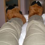 Filename=plushstyle_deerhooves_6.jpg
Filesize=85KB
Dimensions=600x600
Date added=Sep 07, 2009 plushstyle_deerhooves_6.jpg